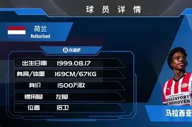 开云体育-包含埃因霍温清晨官宣签约法兰克福赛后状态回暖，现场解说直呼：奥兰多魔术围绕全明星赛迎来里程碑的词条